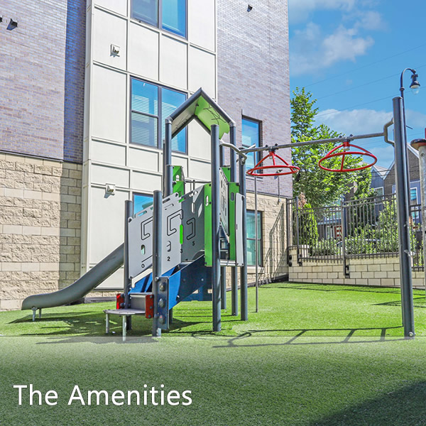 Features & Amenities